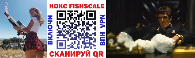 МЕГА как войти  дарнет шоп  Сальск  COCAIN Fish Scale 