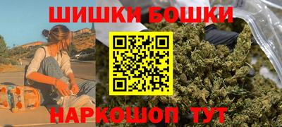 индика Заволжье