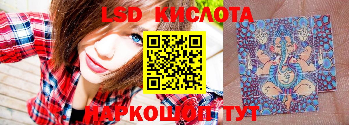 Галлюциногенные грибы Сальск