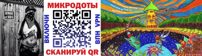MEGA зеркало  Сальск  Псилоцибиновые грибы Magic Shrooms 