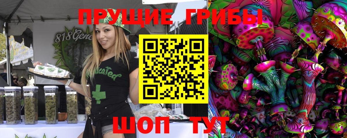 Галлюциногенные грибы GOLDEN TEACHER Сальск