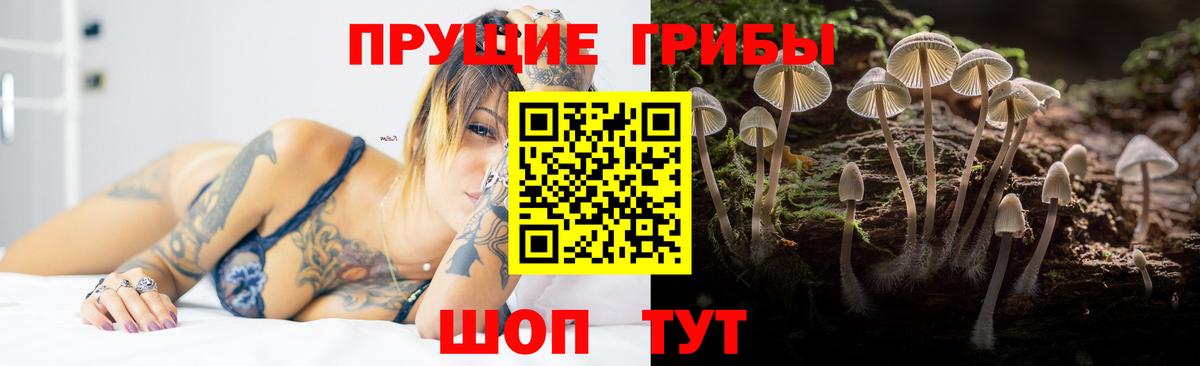Сальск  Псилоцибиновые грибы MAGIC MUSHROOMS  Вход с VPN 
