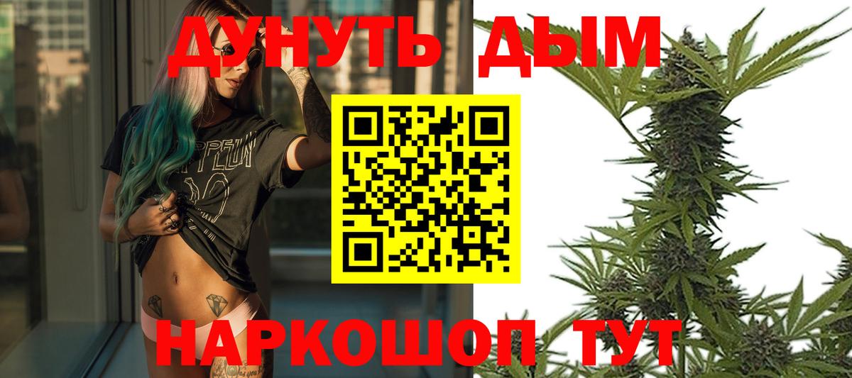 Бошки Шишки OG Kush  Канабис план  Вход с VPN  Бошки марихуана SATIVA & INDICA  Сальск  Каннабис SATIVA & INDICA 